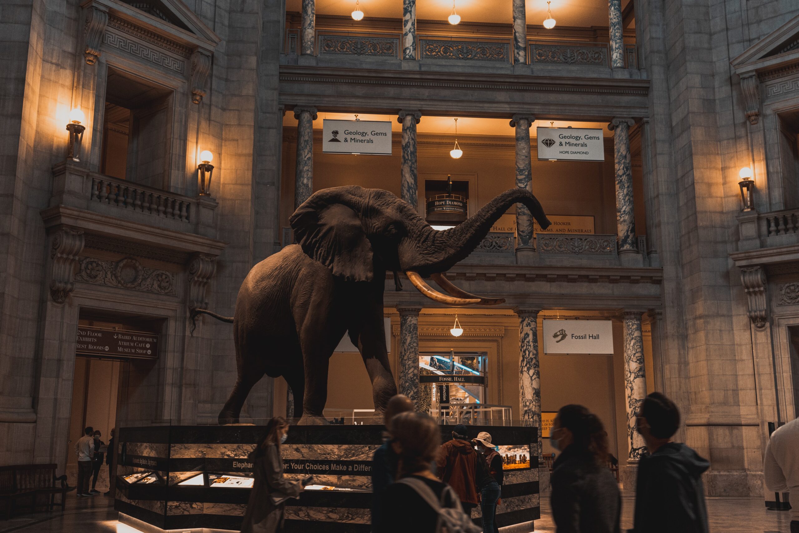 The Best Museums in the World