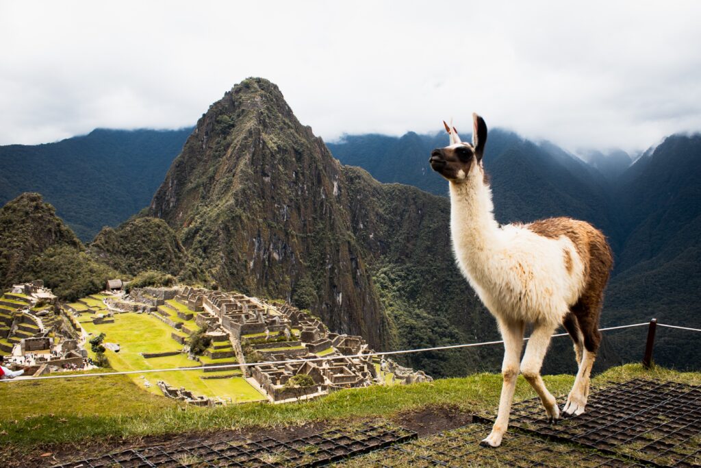 View at Machu Picchu Mountain