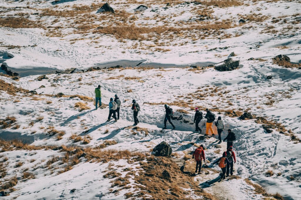 A group of people trekking